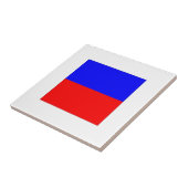 ICS-vlag E Tegeltje (Zijkant)