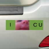 ICU BUMPERSTICKER (Op auto)