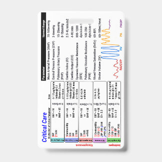 ICU Critical Care Badge Buddy