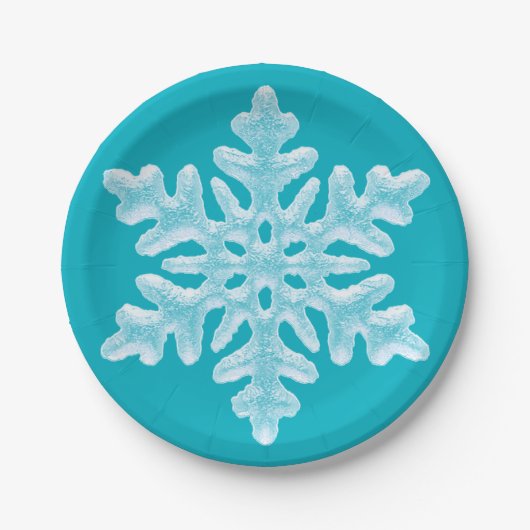 Icy Aqua Blauwgroen Bevroren Snowflake Winter Kers Papieren Bordje (Voorkant)