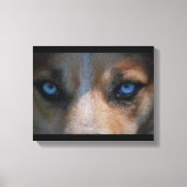 Icy Blue Canine Eyes Canvas Afdruk (Voorkant)