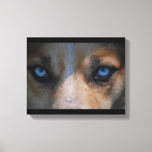 Icy Blue Canine Eyes Canvas Afdruk