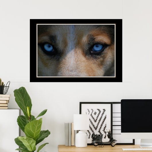 Icy Blue Canine Eyes Poster (Thuiskantoor)
