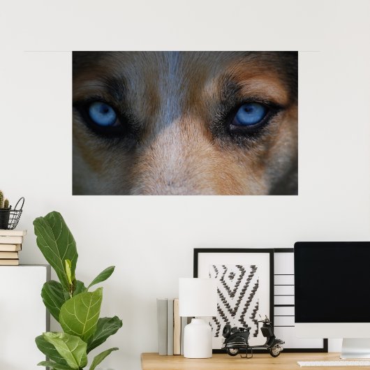 Icy Blue Canine Eyes Poster (Thuiskantoor)