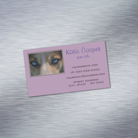 Icy Blue Canine Eyes Visitekaartje Magneet (Voorbeeld)