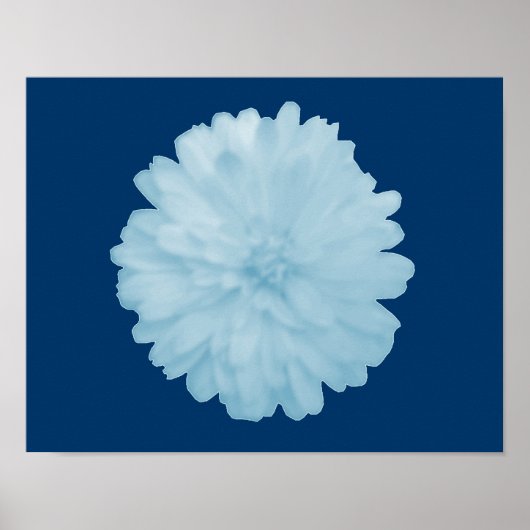 Icy Blue Marigold Poster (Voorkant)