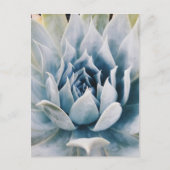 Icy blue succulent briefkaart (Voorkant)