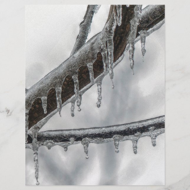 Icy Branch (Voorkant)