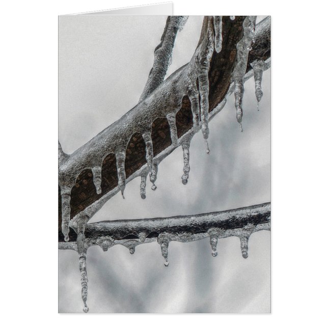 Icy Branch (Voorkant)