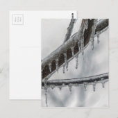 Icy Branch Briefkaart (Voorkant / Achterkant)