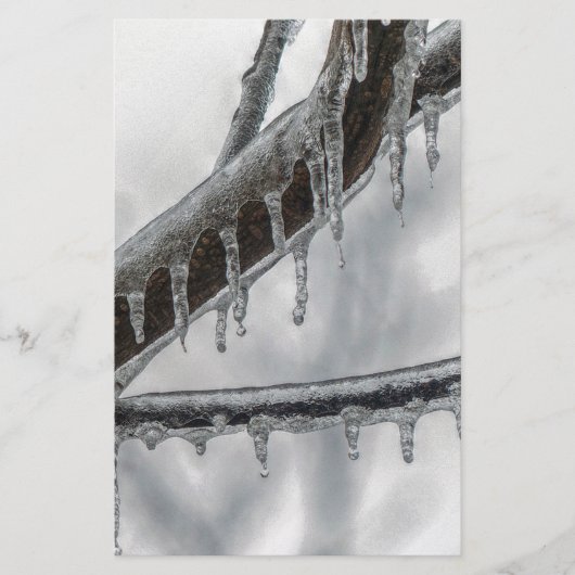 Icy Branch Briefpapier (Voorkant)