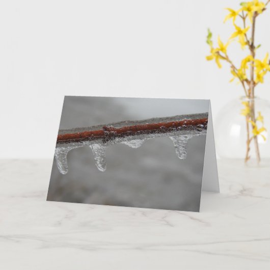 Icy Branch Kaart (Gele Bloem)