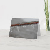 Icy Branch Kaart (Voorkant)