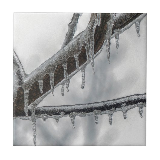 Icy Branch Tegeltje (Voorkant)