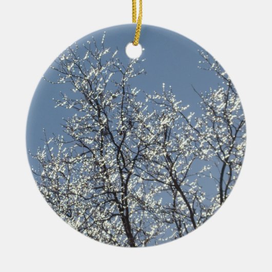 Icy Branches in Winter Blue Sky Keramisch Ornament (Voorkant)