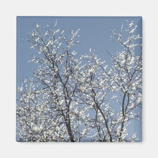 Icy Branches in Winter Blue Sky Magneet (Voorkant)