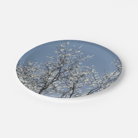 Icy Branches in Winter Blue Sky Papieren Bordje (Gekanteld)