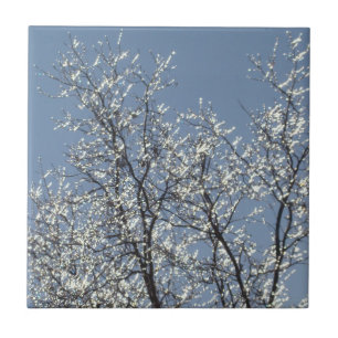 Icy Branches in Winter Blue Sky Tegeltje