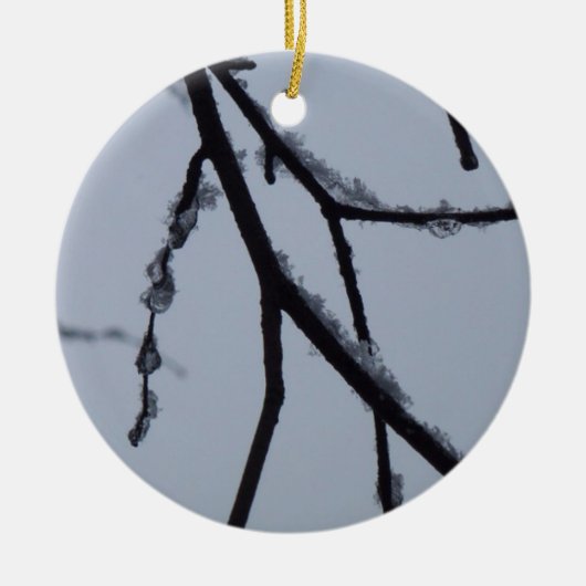 Icy Branches Winter Natuur Keramisch Ornament (Voorkant)