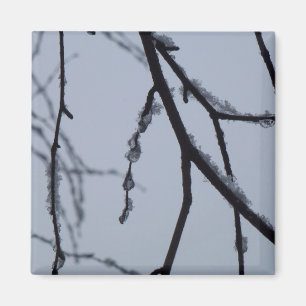 Icy Branches Winter Natuur Magneet