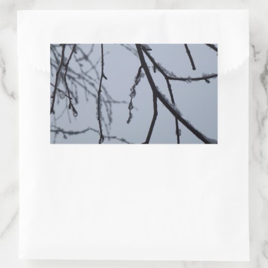 Icy Branches Winter Natuur Rechthoekige Sticker (Tas)