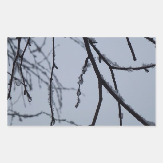 Icy Branches Winter Natuur Rechthoekige Sticker (Voorkant)