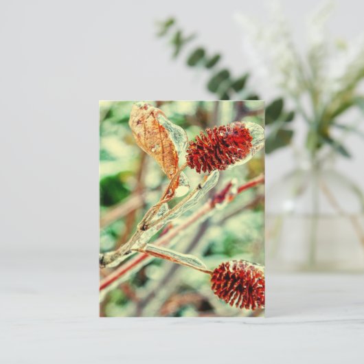 Icy Briefkaart (Staand voorkant)