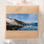 Icy College Fjord Etiket (Insitu)