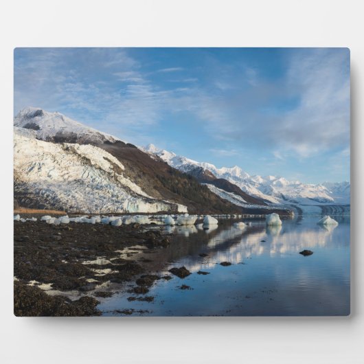 Icy College Fjord Fotoplaat (Voorkant)