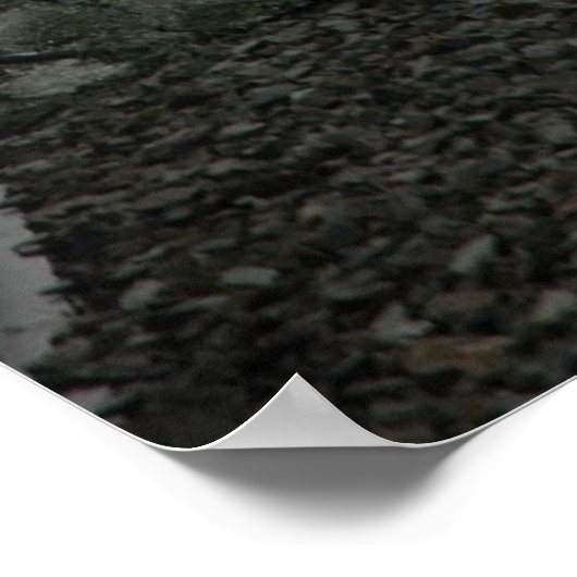 Icy Crossing II Poster (Hoek)