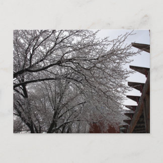 Icy Delmar Loop Briefkaart