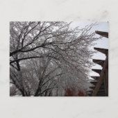 Icy Delmar Loop Briefkaart (Voorkant)