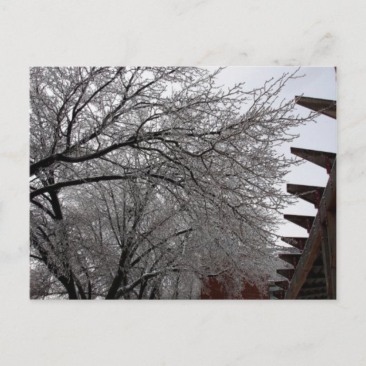 Icy Delmar Loop Briefkaart (Voorkant)