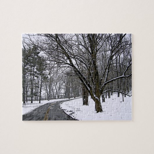 Icy Deserted Road Legpuzzel (Horizontaal)