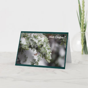 Icy Evergreen-kerstkaart Feestdagen Kaart
