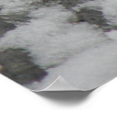 Icy Feet Starling Print (Hoek)