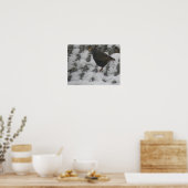 Icy Feet Starling Print (Keuken)