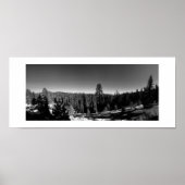 Icy Forest Panorama Zwart-wit Fotografie Poster (Voorkant)