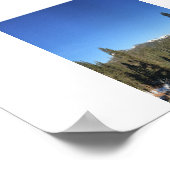 Icy Forest Panoramische Kleurenfotografie Poster (Hoek)