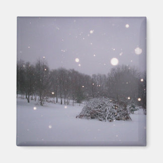 Icy Glitter Magneet