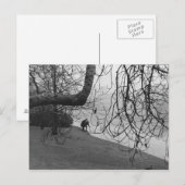 Icy Lake Briefkaart (Voorkant / Achterkant)