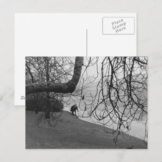 Icy Lake Briefkaart (Voorkant / Achterkant)