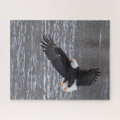 Icy landing: Kale adelaar puzzel (Horizontaal)