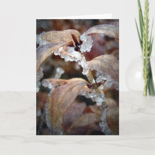 Icy Leaves Kaart (Voorkant)