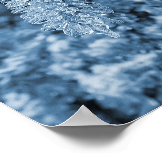 Icy-pijnboom Poster (Hoek)