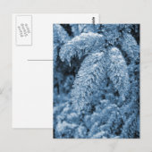 Icy Pine Briefkaart (Voorkant / Achterkant)
