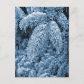 Icy Pine Briefkaart (Voorkant)