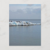 Icy Shore Briefkaart (Voorkant)