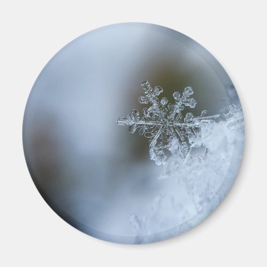 Icy Snowflake Magneet (Voorkant)