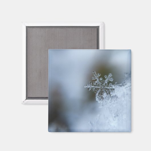 Icy Snowflake Magneet (Voorkant / Achterkant)
